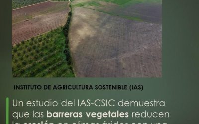 Un estudio del IAS-CSIC demuestra que las barreras vegetales reducen la erosión en climas áridos con una alta eficiencia