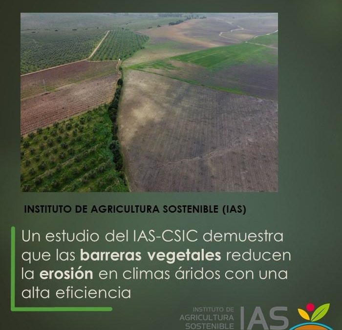 Un estudio del IAS-CSIC demuestra que las barreras vegetales reducen la erosión en climas áridos con una alta eficiencia