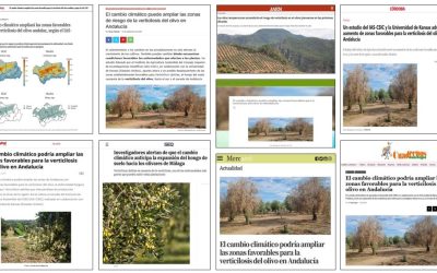 Seguimiento noticia: El cambio climático podría ampliar las zonas favorables para la verticilosis del olivo en Andalucía