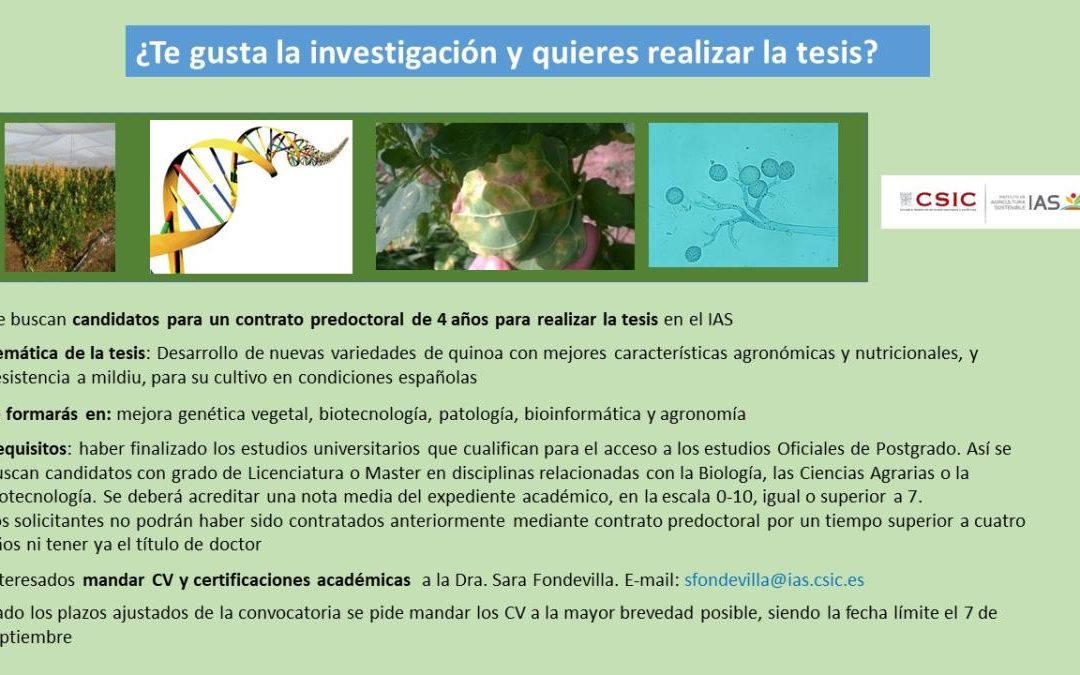 Oferta contrato predoctoral en el IAS-CSIC