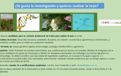 Oferta contrato predoctoral en el IAS-CSIC