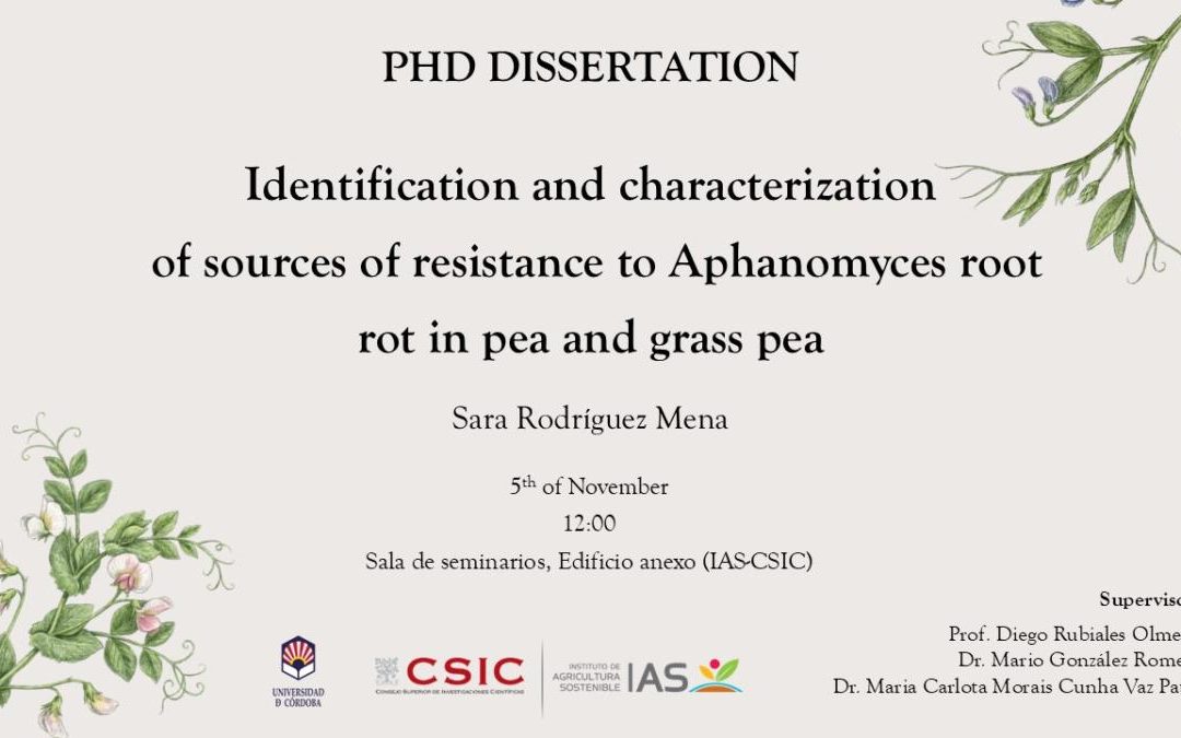Defensa Tesis Doctoral – Sara Rodríguez Mena