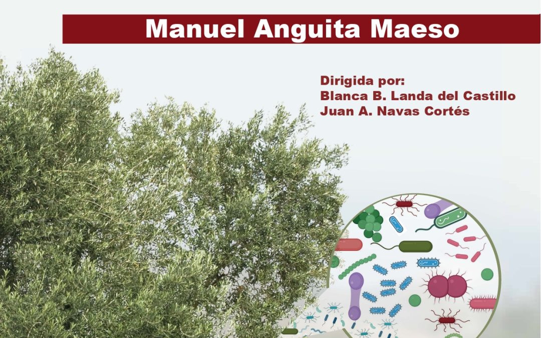 Defensa Tesis Doctoral – Manuel Anguita Maeso