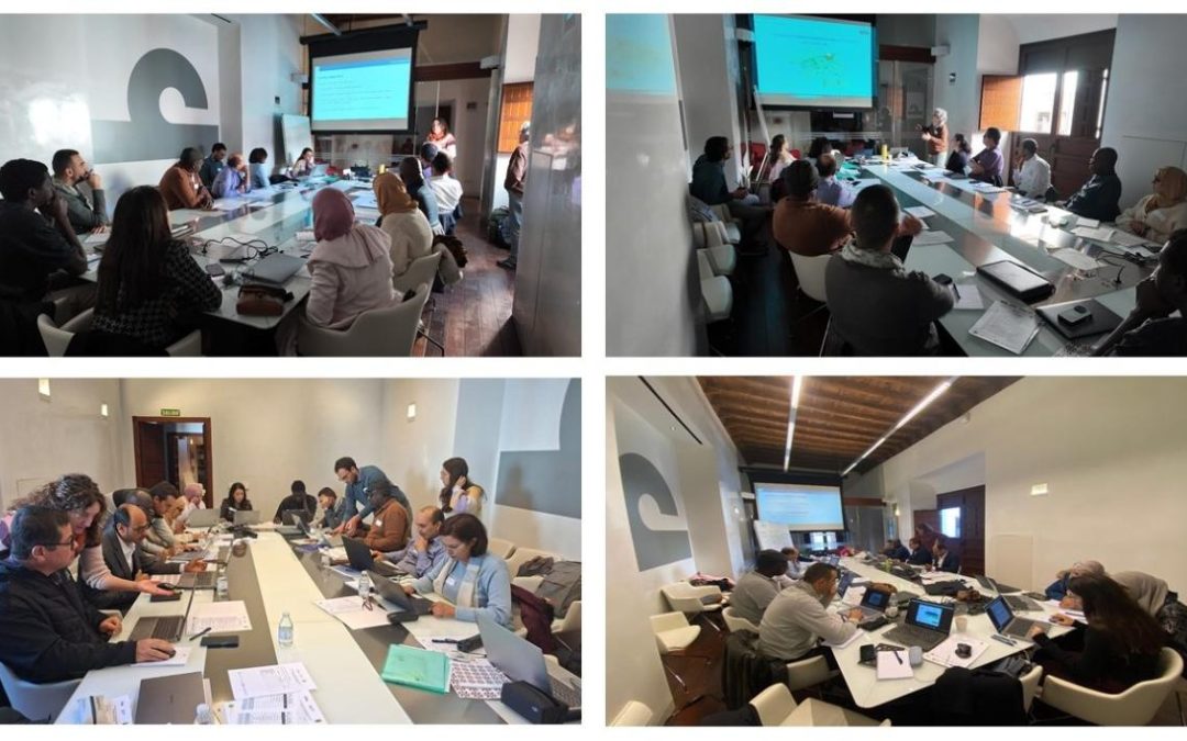 Curso “AquaCrop – A tool for efficient irrigation management”
