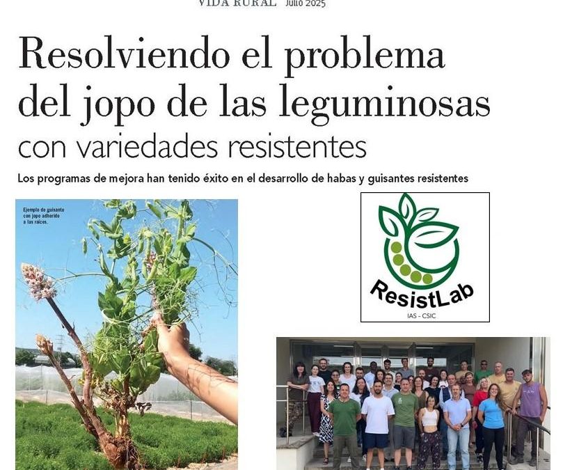 Resolviendo el problema del jopo de las leguminosas con variedades resistentes
