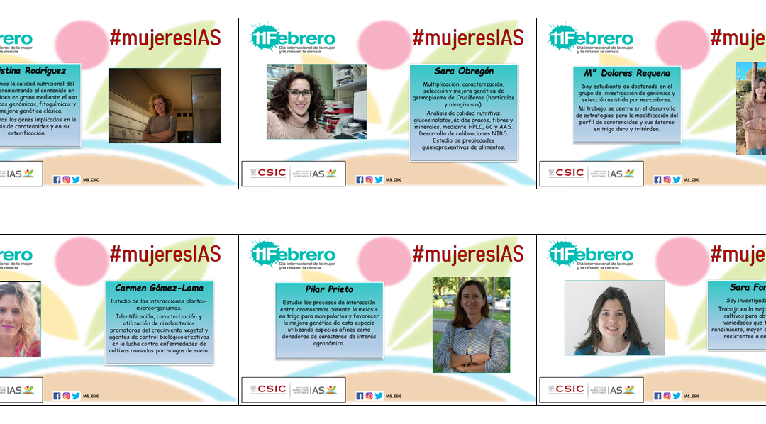 Día Internacional de la Mujer y la Niña en la Ciencia en el IAS: #mujeresIAS (II)